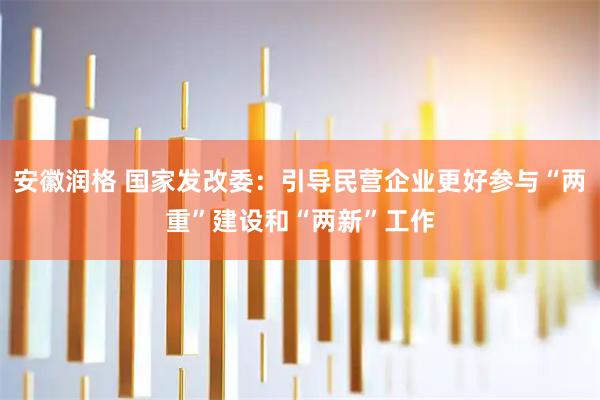 安徽润格 国家发改委：引导民营企业更好参与“两重”建设和“两新”工作