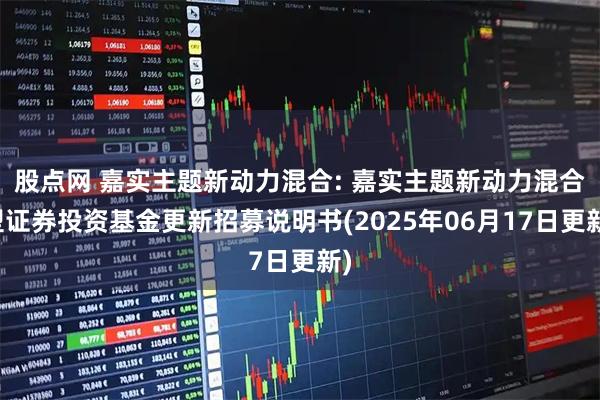 股点网 嘉实主题新动力混合: 嘉实主题新动力混合型证券投资基金更新招募说明书(2025年06月17日更新)