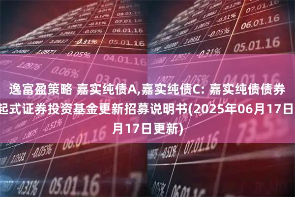 逸富盈策略 嘉实纯债A,嘉实纯债C: 嘉实纯债债券型发起式证券投资基金更新招募说明书(2025年06月17日更新)