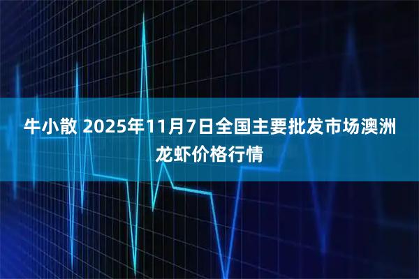 牛小散 2025年11月7日全国主要批发市场澳洲龙虾价格行情