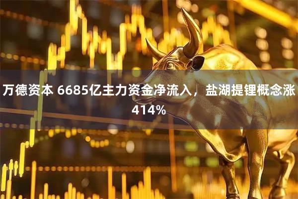 万德资本 6685亿主力资金净流入，盐湖提锂概念涨414%